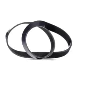 RIDEX V-ribbed belt VW,AUDI,RENAULT 305P0049 038903137,038903137G,06F903137E 38903137,38903137G,6F903137E,5750RG,5750RG,11287534399,11287566789,5750RG