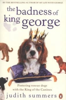 The Badness of King George by Judith Summers Paperback