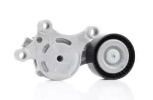 INA Tensioner Lever, v-ribbed belt 534 0075 20 FORD,PEUGEOT,CITROEN,Fiesta Mk6 Schragheck (JA8, JR8),Fiesta Mk5 Schragheck (JH1, JD1, JH3, JD3)