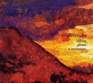 Falling Down a Mountain by Tindersticks CD Album