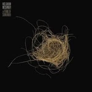 Hiss Golden Messenger - Terms Of Surrender Vinyl