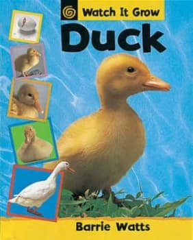 Duck by Barrie Watts Paperback