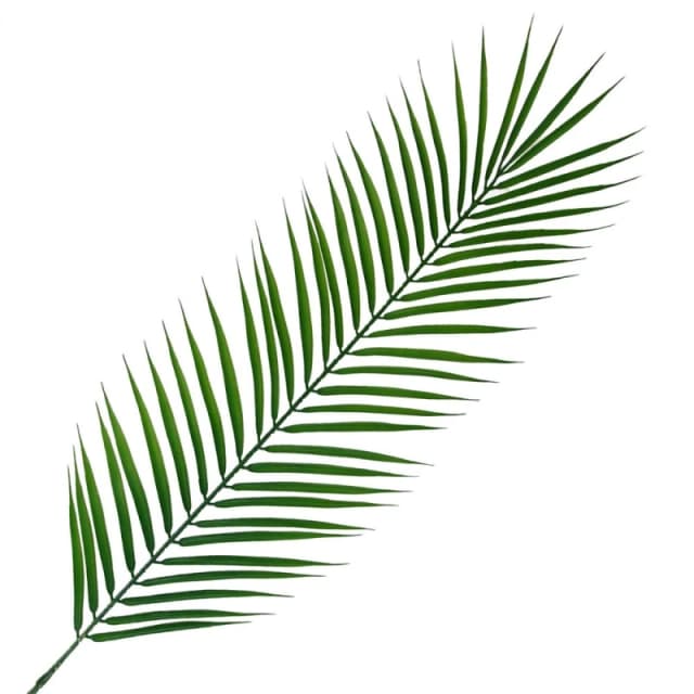 Leaf 100cm Realistic Artificial Palm Leaf
