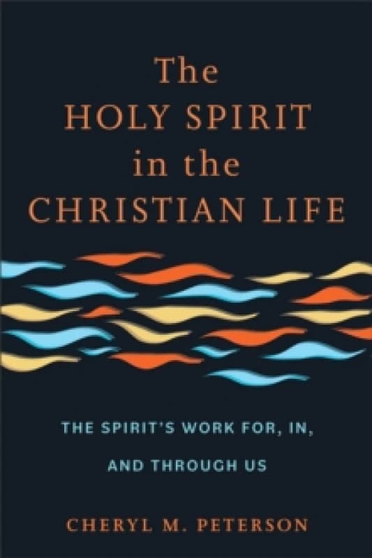 The Holy Spirit in the Christian Life : The Spirit's Work for, in, and through Us Paperback / softback