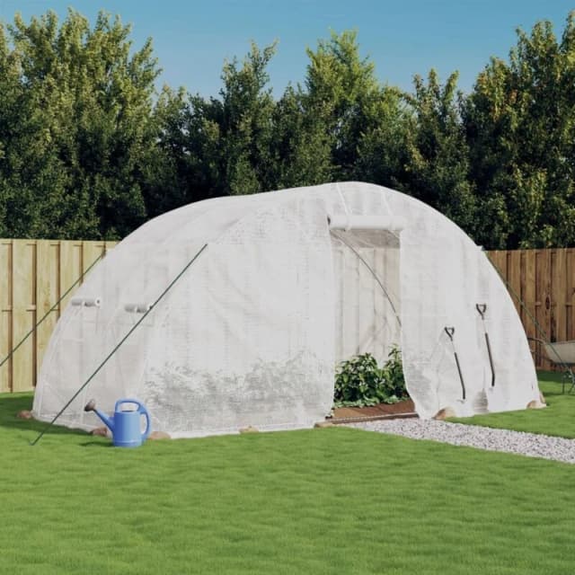 vidaXL Greenhouse with Steel Frame White 10 m 5x2x2.3 m, White 364087