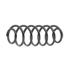 RIDEX Coil spring Rear Axle 188C0779 Suspension spring,Springs MAZDA,2 Schragheck (DE_, DH_3)