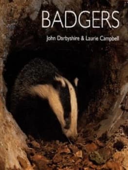 Badgers by John Darbyshire and Laurie Campbell Book