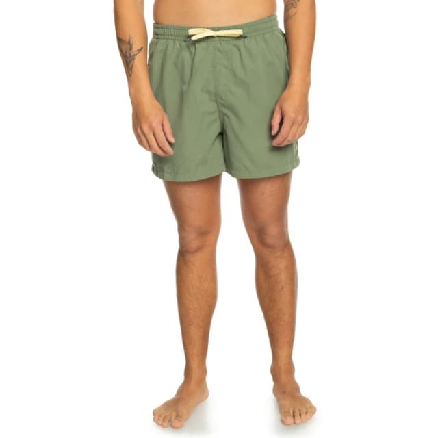 Quiksilver Everyday Volley Swim Shorts Swim Shorts Small Green 31725115350