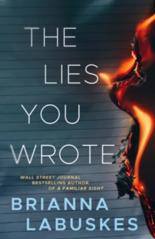The Lies You Wrote Paperback / softback