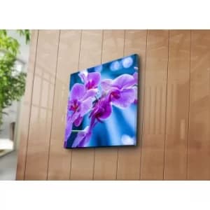 4545NAT-34 Multicolor Decorative Canvas Painting