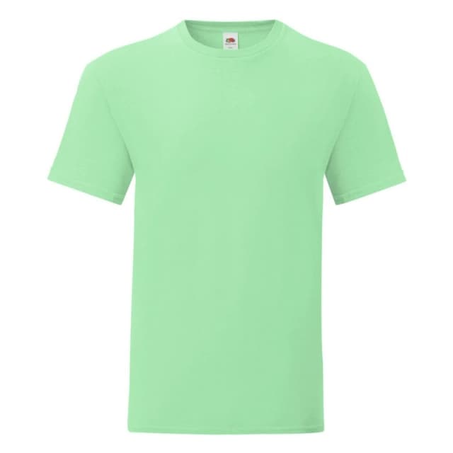 Fruit Of The Loom Fruit of the Loom Men Iconic T-Shirt (Pack Of 5) in Mint Size: Small Mint S Male 5059699526235