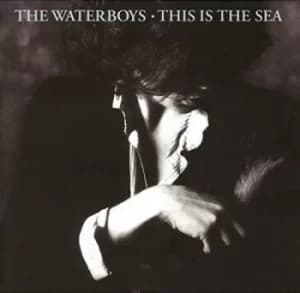 This Is the Sea by The Waterboys CD Album