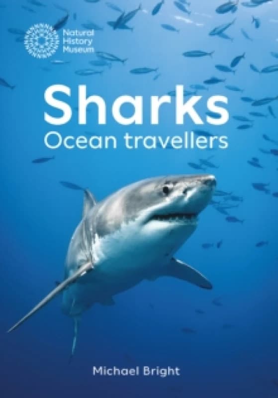 Sharks. Hardback. By Michael Bright, England Natural History Museum London Books