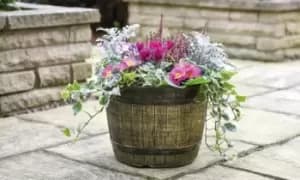 Whiskey Barrel Planters, Two, Gold