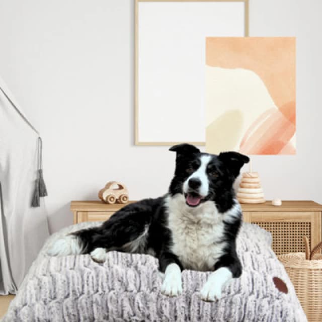 Snug & Cosy Pets Snug And Cosy Pets Novara Lounger Brown 90Cm X 60Cm