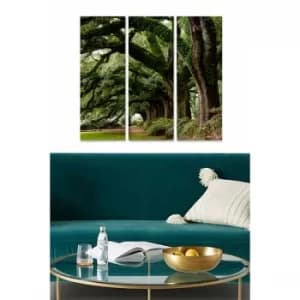 MDF2141251 Multicolor Decorative MDF Painting (3 Pieces)