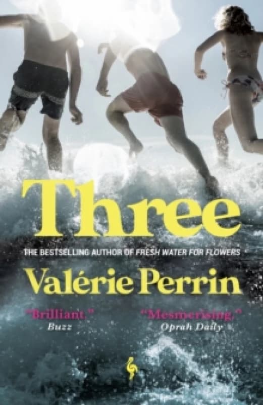 Three : From the bestselling author of Fresh Water for Flowers Paperback / softback
