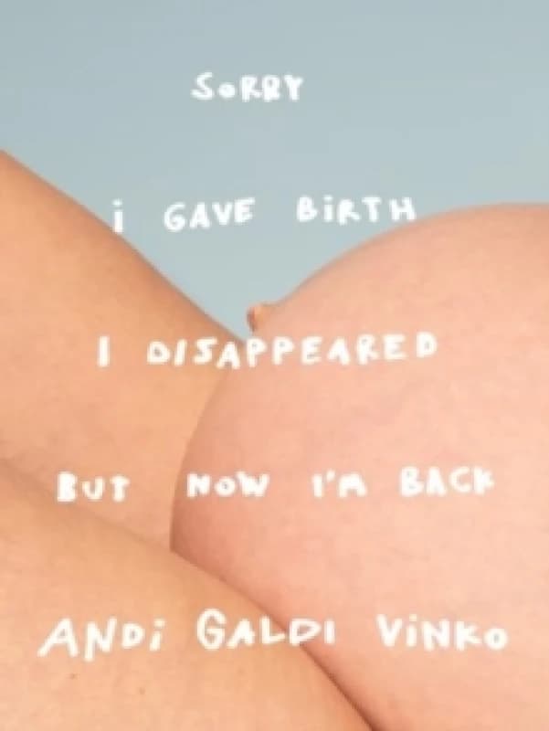 Andi Galdi Vinko: Sorry I Gave Birth I Disappeared But Now I'm Back Hardback
