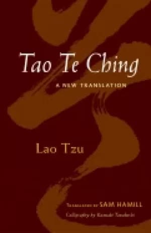 tao te ching a new translation