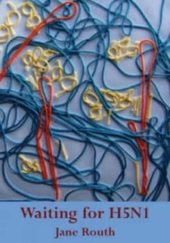 Waiting for H5n1 by Jane Routh Paperback