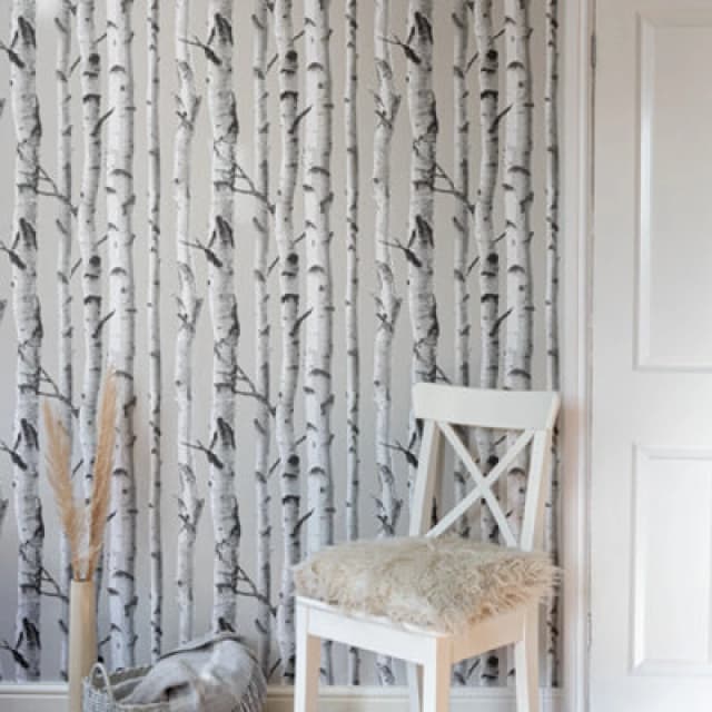Wallpops Nu Wallpaper Birch Tree Self Adhesive Wallpaper 5.49M(L) 52.07Cm(W)
