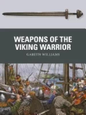 weapons of the viking warrior