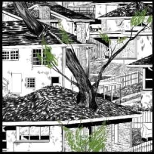 Odds and Ends by Pile CD Album