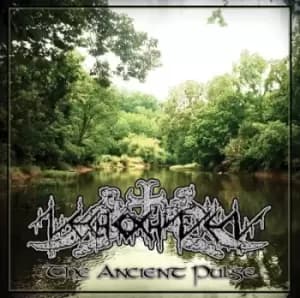 The Ancient Pulse by Nechochwen CD Album