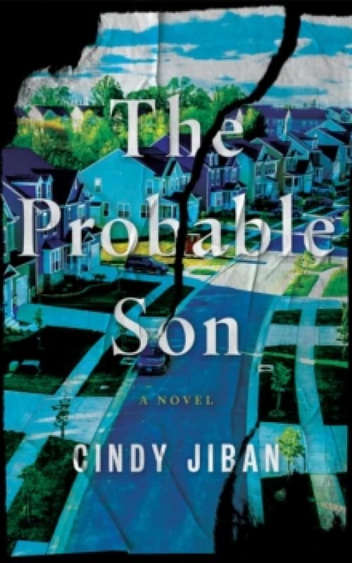 The Probable Son : A Novel Paperback / softback