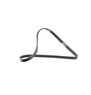 DAYCO V-ribbed belt 3PK740 Serpentine belt,Auxiliary belt RENAULT,DACIA,TWINGO I (C06_),CLIO II (BB0/1/2_, CB0/1/2_),KANGOO (KC0/1_)