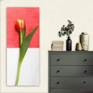 DKY101437964_50120 Multicolor Decorative Canvas Painting