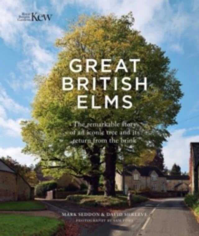 Great British Elms : The remarkable story of an iconic tree and its return from the brink Hardback