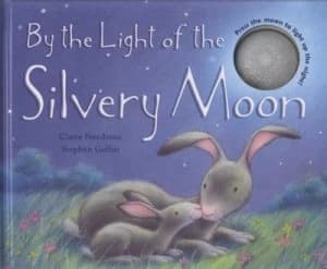 By the Light of the Silvery Moon by Claire Freedman and Stephen Gulbis Hardback