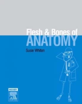 The Flesh and Bones of Anatomy by Susie Whiten Paperback