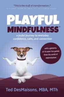Playful Mindfulness : A Joyful Journey to Everyday Confidence, Calm, and Connection