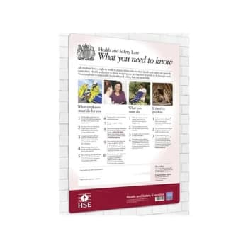 Health And Safety Law Rigid PVC Wall Guide - 415 X 595MM