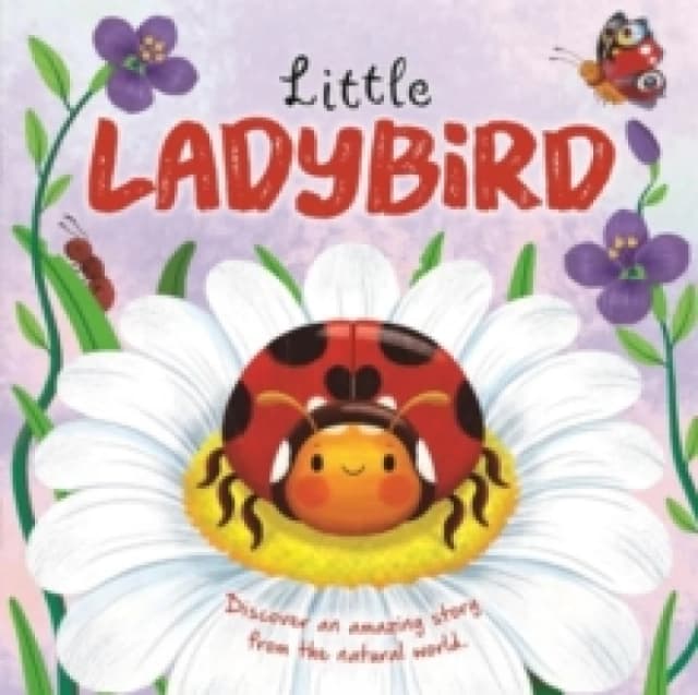 Little Ladybird Board book
