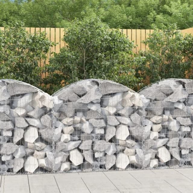 VIDAXL Vidaxl - Arched Gabion Basket 100x50x80/100cm Galvanised Iron 8720845650971