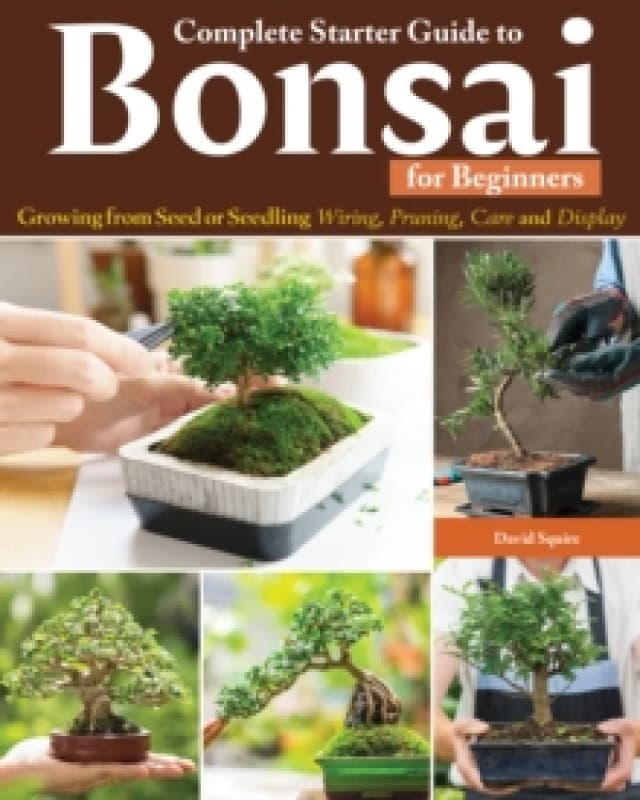 Complete Starter Guide to Bonsai : Growing from Seed or Seedling--Wiring, Pruning, Care, and Display Paperback / softback