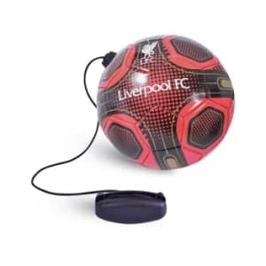 Liverpool Skills Practice Ball Size 2