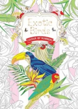 Exotic Birds by Daisy Seal Paperback