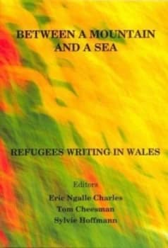 Between a Mountain and a Sea by Eric Ngalle Charles and Tom Cheesman and Sylvie Hoffmann Paperback