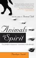 animals in spirit our faithful companions transition to the afterlife