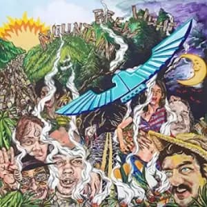 Mountain Brew Light by Frank Hurricane Vinyl Album