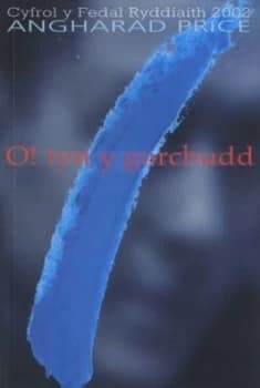 O Tyn Y Gorchudd by Angharad Price Book