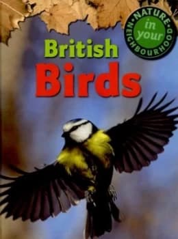 British Birds by Clare Collinson Hardback