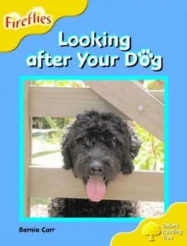 Looking After Your Dog by Bernie Carr Paperback