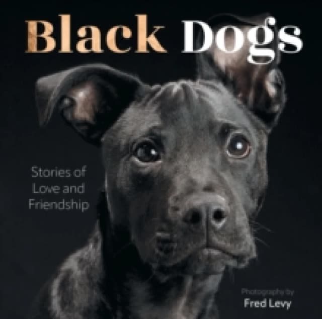 Black Dogs. Hardback. By Fred Levy Books