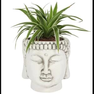 White Terracotta Buddha Head Planter