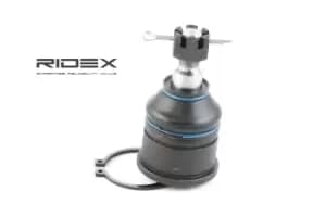 RIDEX Ball joint HONDA,ROVER 2462S0082 51220S84305,51220S84A01,51220S84A02 51220SM0003,51220SM1A01,51220SM1A02,51220SM4003,51220SM4013,51220SN7003